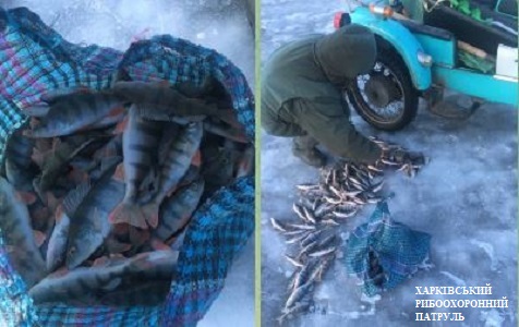 Криминал Харьков: рыбак с удочкой нанес около 190 тысяч гривен ущерба